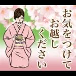 日本の着物を着た女性 春