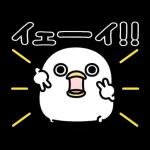 うるせぇトリ★ずっと使える動くスタンプ