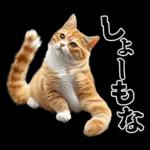 生成失敗猫【毒舌・煽り・煽る・シュール】