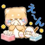 シマエナガといやしばいぬ❤️春/柴犬敬語