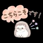 もふもふ♡ガーリーベアのかわいい毎日