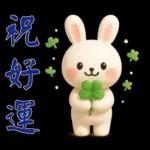 可愛白兔-實用短語
