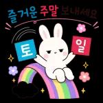 시크한 토끼의 한마디