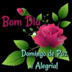 bom dia kkkkk