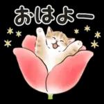 春の毎日☆猫たちのスタンプ（もふもふ）