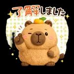 ほっこりカピバラの毎日使える癒しスタンプ
