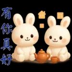 可愛白兔-實用短語