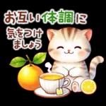 猫のつめあわせ【冬】