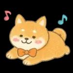 柴犬いっぱい♡豆しば♡秋＆冬