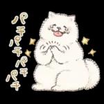 Samoyed-san in Spring