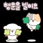 봄의 새싹처럼 톡!