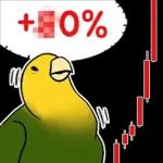 투자 전문가, 껄무새