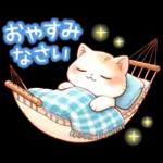 猫のつめあわせ【夏】