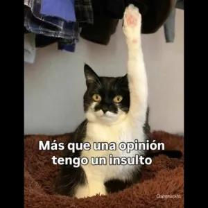 Más que una opinión tengo un insulto - getsticker.com