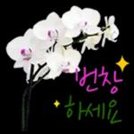 꽃으로 전하는 마음, 감사톡