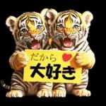 大阪神戸の野球好き虎ファン向け5とらほー