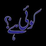 کوئی ہے؟