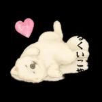 もふもふ【愛されサモエド】