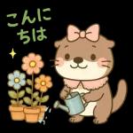 ラッコとまいにちトーク