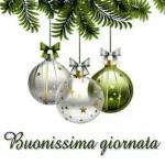 Buona Festa dell'Immacolata!