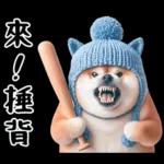 圓柴柴18:祝你有個可愛的一天❤️