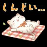 ぽかぽか春ねこライフ