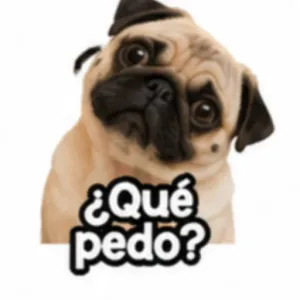 ¿Qué pedo? - getsticker.com