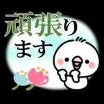毎日しろちゃん22❤敬語・長文