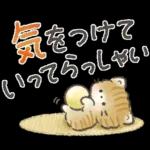 ふわふわ子ねこの日常スタンプ
