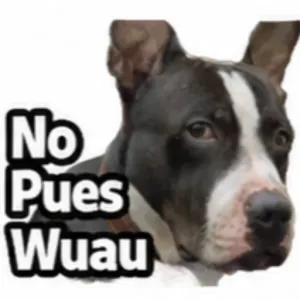 No Pues Wuau - getsticker.com