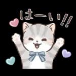 毎日使える♡大人可愛いガーリーキャット2