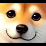 柴犬ワンダフル！！！！！