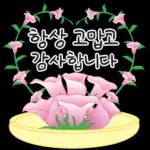 가정의 달 꽃 선물