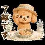 トイプードルの夏と梅雨のお天気カフェ