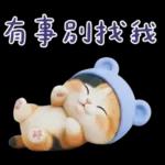 可愛小花貓超能幹的啦❤