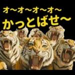 大阪神戸の野球好き虎ファン向け5とらほー