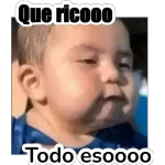 dnsjzjxb
