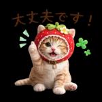 毎日使えるねこあいさつ