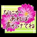 春✿明るい花で幸せ呼び込む✿やさしい声かけ