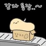 겨울철 부실감자 냉해주의