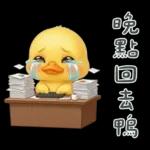 陰陽怪氣的小鴨鴨