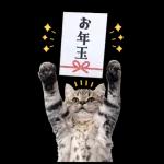 毎年使える♪リアルなにゃんこの年末年始