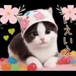 可愛いハチワレ猫 春の思いやり 敬語