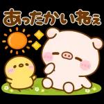 ポコちゃんピッグスプリングポップアップ