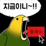 투자 전문가, 껄무새
