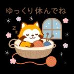 冬限定！たぬきのごあいさつ