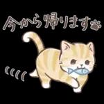 毎日使える♡大人可愛いガーリーキャット2