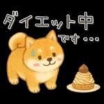 柴犬いっぱい♡豆しば♡秋＆冬