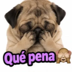 Qué pena - getsticker.com