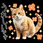 リアルな猫の敬語
